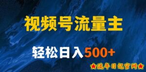 揭秘视频号创作者分成计划，带你玩赚视频号流量主！新手也能月入1w+-流年日记