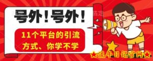 实操11个热门平台引流方法、私域教程看完不走弯路！-流年日记