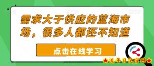 需求大于供应的蓝海市场，很多人都还不知道-流年日记