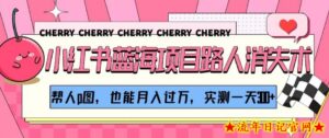 小红书蓝海项目路人消失术,帮人p图,也能月入过万,实测一天300+【揭秘】-流年日记