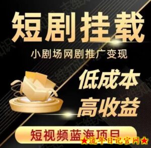 2023短视频蓝海项目,抖音快手短剧推广变现教程,低成本高收益-流年日记