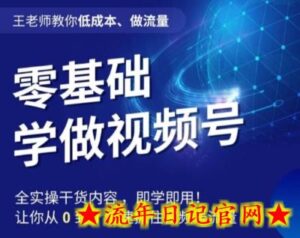 王老师教你低成本、做流量,零基础学做视频号,0-1快速抓住视频号流量-流年日记