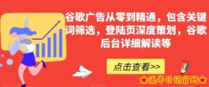 谷歌广告从零到精通，包含关键词筛选，登陆页深度策划，谷歌后台详细解读等-流年日记
