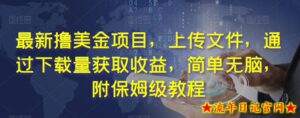 最新撸美金项目,上传文件,通过下载量获取收益,简单无脑,附保姆级教程【揭秘】-流年日记