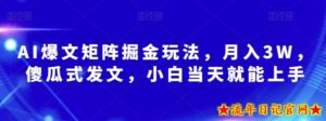 AI爆文矩阵掘金玩法,月入3W,傻瓜式发文,小白当天就能上手【揭秘】-流年日记