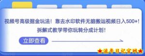 视频号高级掘金玩法,靠去水印软件无脑搬运视频日入500+,拆解式教学带你玩转分成计划【揭秘】-流年日记