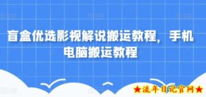 盲盒优选影视解说搬运教程,手机电脑搬运教程-流年日记