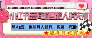小红书蓝海项目路人消失术,帮人p图,也能月入过万,实测一天300+-流年日记