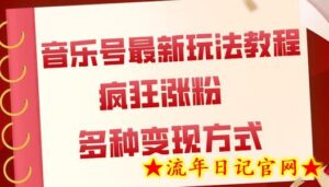 音乐号最新玩法教程,疯狂涨粉,多种拓展变现方式(附保姆级教程+素材)-流年日记