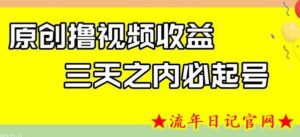 最新撸视频收益,三天之内必起号,一天保底100+-流年日记