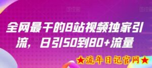 全网最干的B站视频独家引流,日引50到80+流量-流年日记