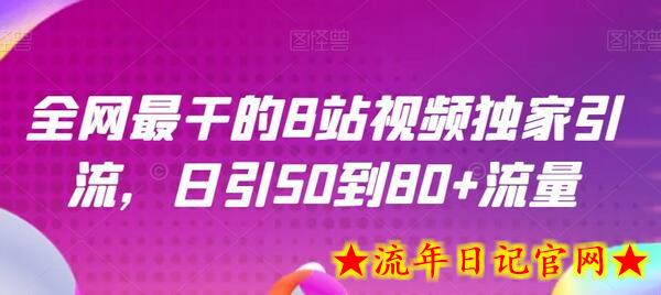 全网最干的B站视频独家引流，日引50到80+流量-流年日记