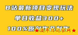 B站最新变现项目玩法,100%原创作品轻松制作,矩阵操作单日收益300+-流年日记