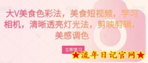 大V美食色彩法,美食短视频,学习相机,清晰透亮灯光法,剪映剪辑,美感调色-流年日记