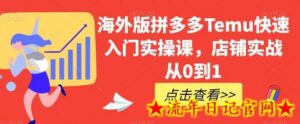 海外版拼多多Temu快速入门实操课,店铺实战从0到1-流年日记