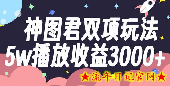 神图君双项玩法5w播放收益3000+-流年日记