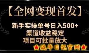 【全网变现首发】新手实操单号日入500+,渠道收益稳定,项目可批量放大-流年日记