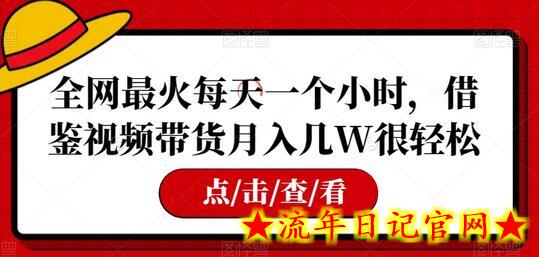 全网最火每天一个小时，借鉴视频带货月入几W很轻松-流年日记