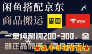 闲鱼搭配京东备份库搬运,一单纯利润200-300,全部正品靠谱,适合新手!-流年日记
