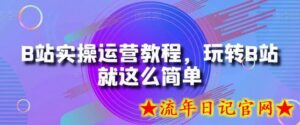 B站实操运营教程,玩转B站就这么简单-流年日记