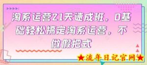 淘系运营21天速成班,0基础轻松搞定淘系运营,不做假把式-流年日记