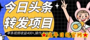 今日头条转发项目,单条视频收益400+,操作无脑简单-流年日记