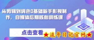 从剪辑到调色0基础新手影视制作,自媒体后期核心训练课-流年日记