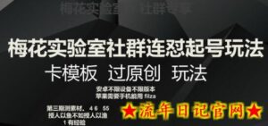 梅花实验室社群连怼起号玩法,卡模板过原创玩法-流年日记