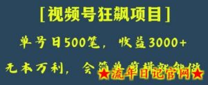 日收款500笔，纯利润3000+，视频号狂飙项目，会简单剪辑就能做-流年日记