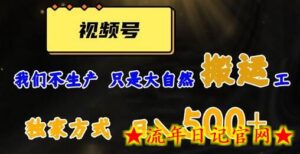 视频号轻松搬运日赚500+,一个1分钟1条原创视频-流年日记