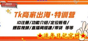 Tk商家出海·特训营:ID注册/功能介绍/定位账号/爆款视频/直播间搭建/带货-流年日记