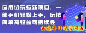 应用试玩拉新项目,一部手机轻松上手,玩法简单高收益可持续性-流年日记