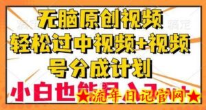 无脑原创视频,轻松过中视频+视频号分成计划,小白也能月入3w+-流年日记