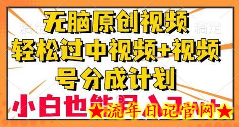 无脑原创视频，轻松过中视频+视频号分成计划，小白也能月入3w+-流年日记