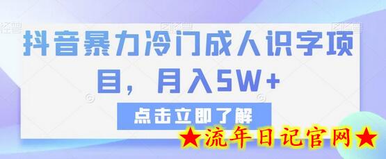 抖音暴力冷门成人识字项目，月入5W+-流年日记