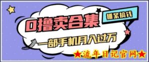 0撸项目月入过万,售卖全套ai工具合集,一单29.9元,一部手机即可-流年日记