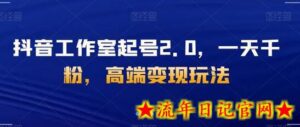 抖音工作室起号2.0,一天千粉,高端变现玩法-流年日记