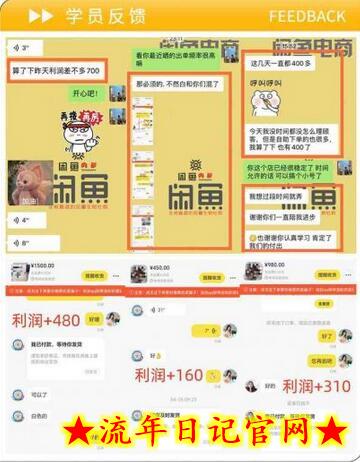 闲鱼精细化运营入门+高阶实战教学，从底层逻辑到轻松变现，多维度玩转闲鱼副业插图(2)