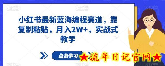 小红书最新蓝海编程赛道，靠复制粘贴，月入2W+，实战式教学-流年日记