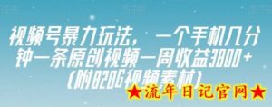 视频号暴力玩法,一个手机几分钟一条原创视频一周收益3800+(附820G视频素材)-流年日记