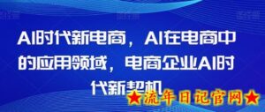 Al时代新电商，Al在电商中的应用领域，电商企业AI时代新契机-流年日记