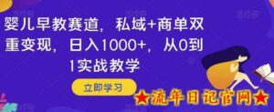 婴儿早教赛道，私域+商单双重变现，日入1000+，从0到1实战教学-流年日记