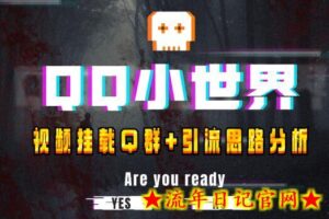 【全网首发】QQ小世界_Q群挂载教程+引流思路分析-流年日记