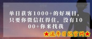 单日获客1000+的好项目,只要你微信扛得住,没有1000+你来找我-流年日记