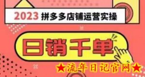 2023拼多多运营实操,每天30分钟日销1000+,爆款选品技巧大全(10节课)-流年日记