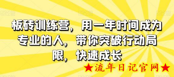 板砖训练营，用一年时间成为专业的人，带你突破行动局限，快速成长-流年日记