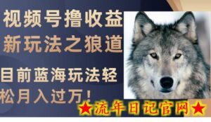 视频号撸收益新玩法之狼道,目前蓝海玩法轻松月入过万!-流年日记