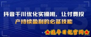 抖音千川优化实操班，让付费投产持续盈利的必备技能-流年日记