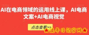 AI在电商领域的运用线上课,AI电商文案+AI电商视觉-流年日记