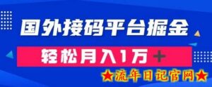 通过国外接码平台掘金:成本1.3,利润10+,轻松月入1万+-流年日记